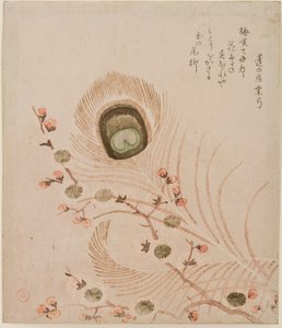 Plum branch and peacock feathers, mid to late 1810s by Kubo Shumman